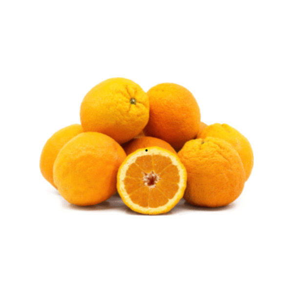 Valencia Oranges